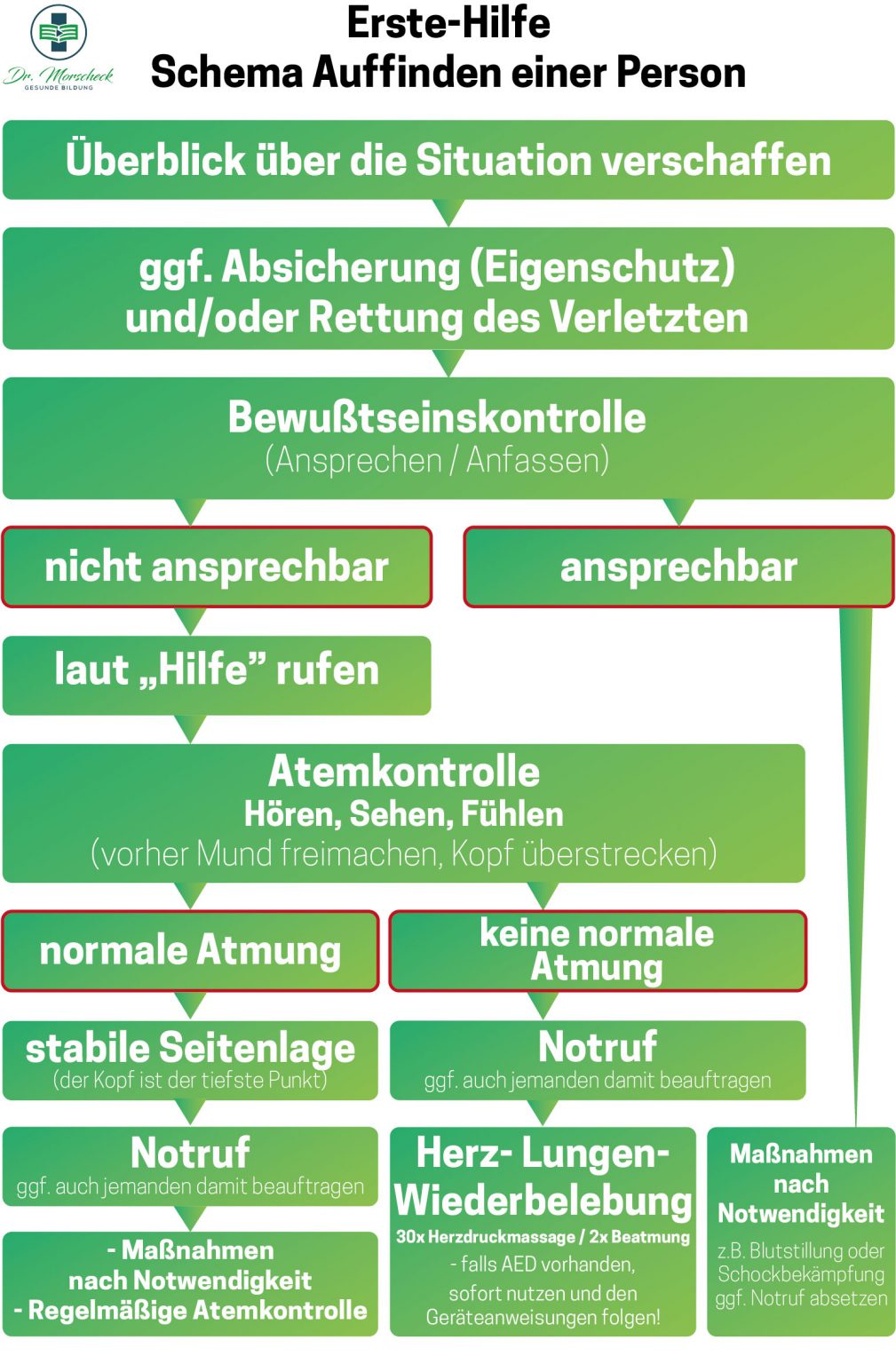 Erste-Hilfe-Schema-Auffinden-einer-Person-v003-v003